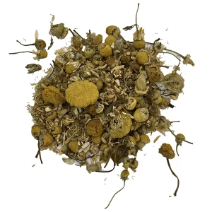 Egyptian Chamomile