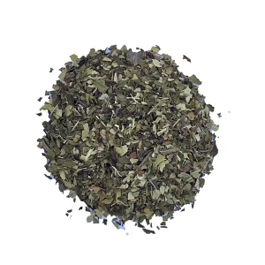 Rainforest Mint